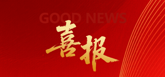 荣誉加冕！丰博智能水联网斩获 “综合实力十强” 与 “行业创新标杆” 双项大奖